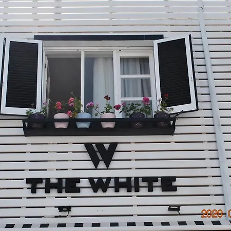 The White